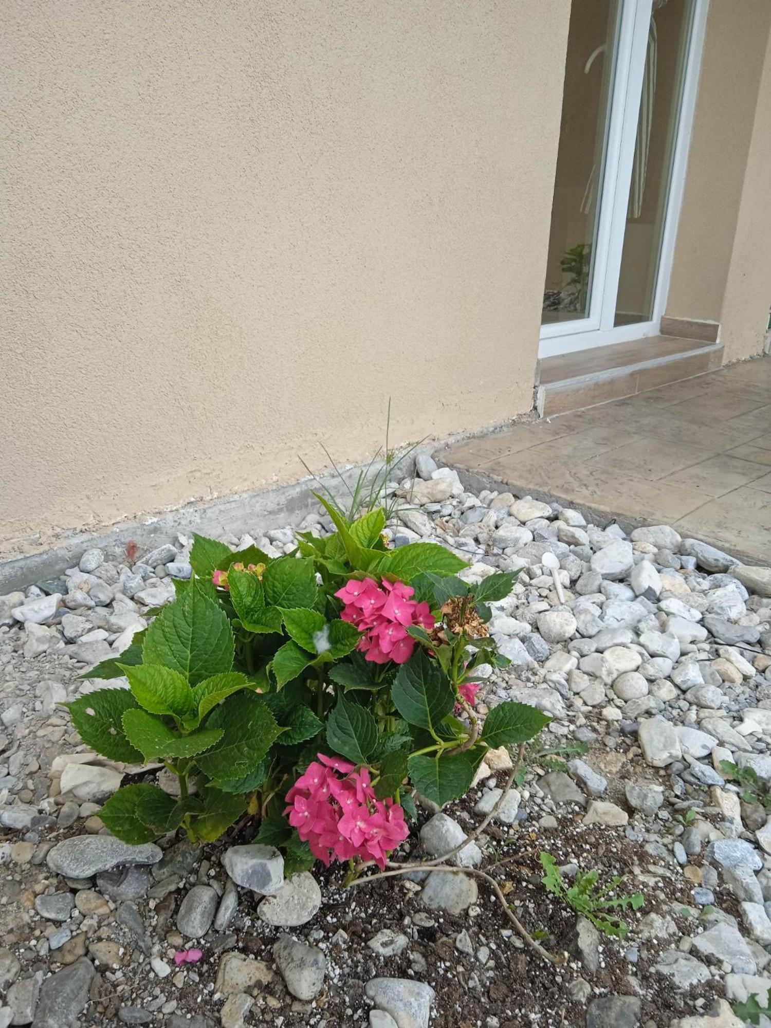 Sylias Village Skala Korinou Exteriör bild